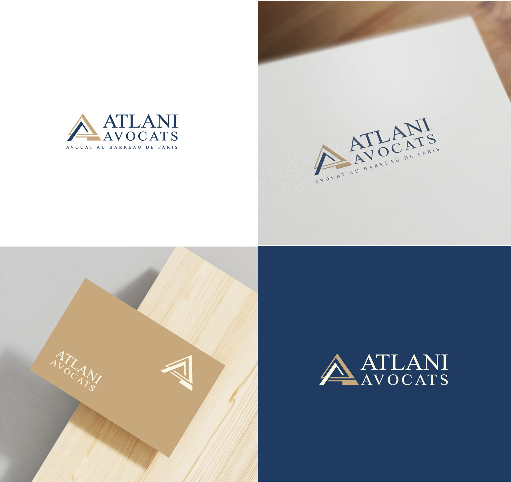 Logo Design by Logoziner for this project | Design #37397680