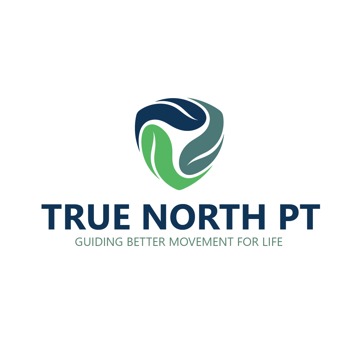 Logo Design by Elrich for FYZICAL Therapy & Balance Centers | Design #37385251
