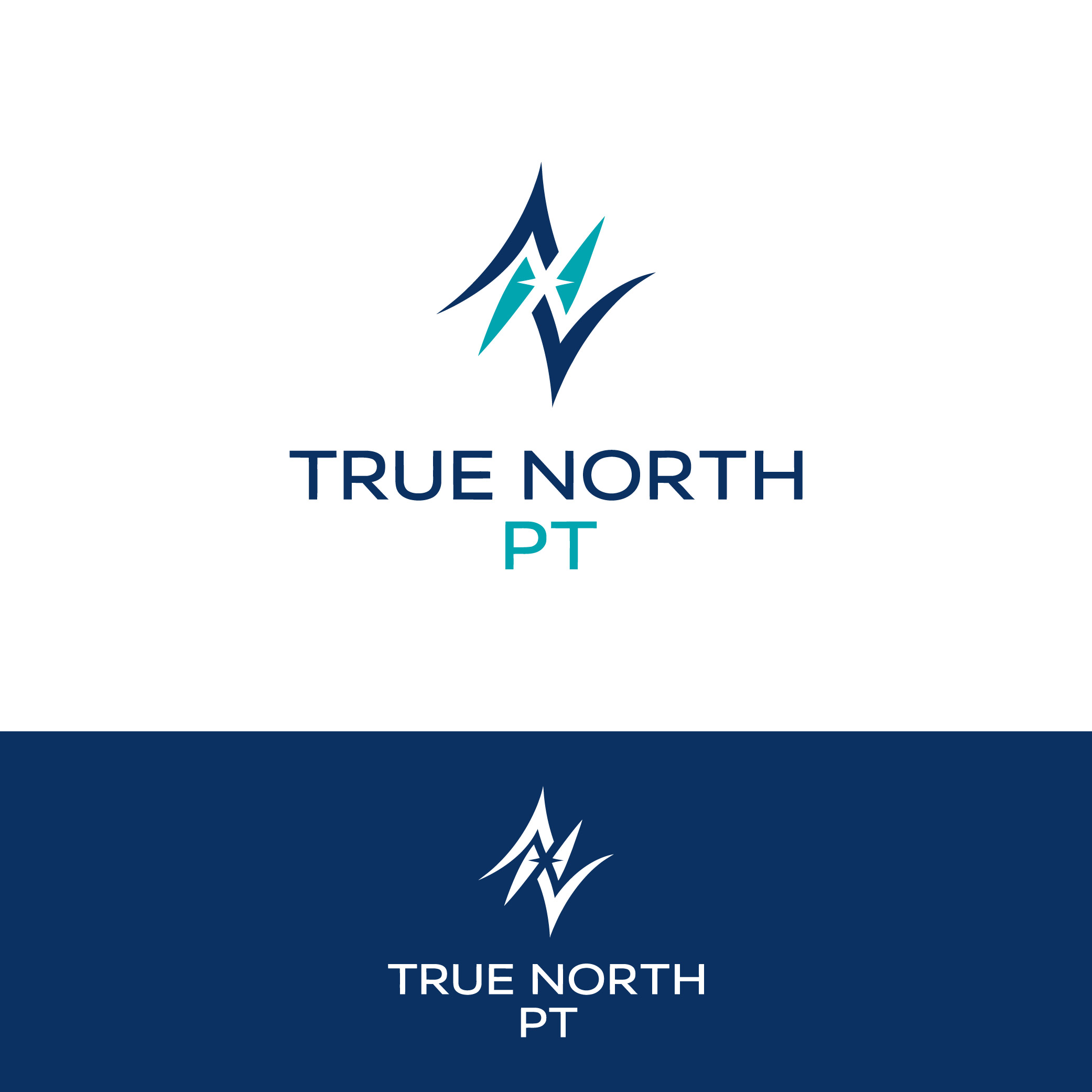 Logo Design by Creative5 for FYZICAL Therapy & Balance Centers | Design #37393629