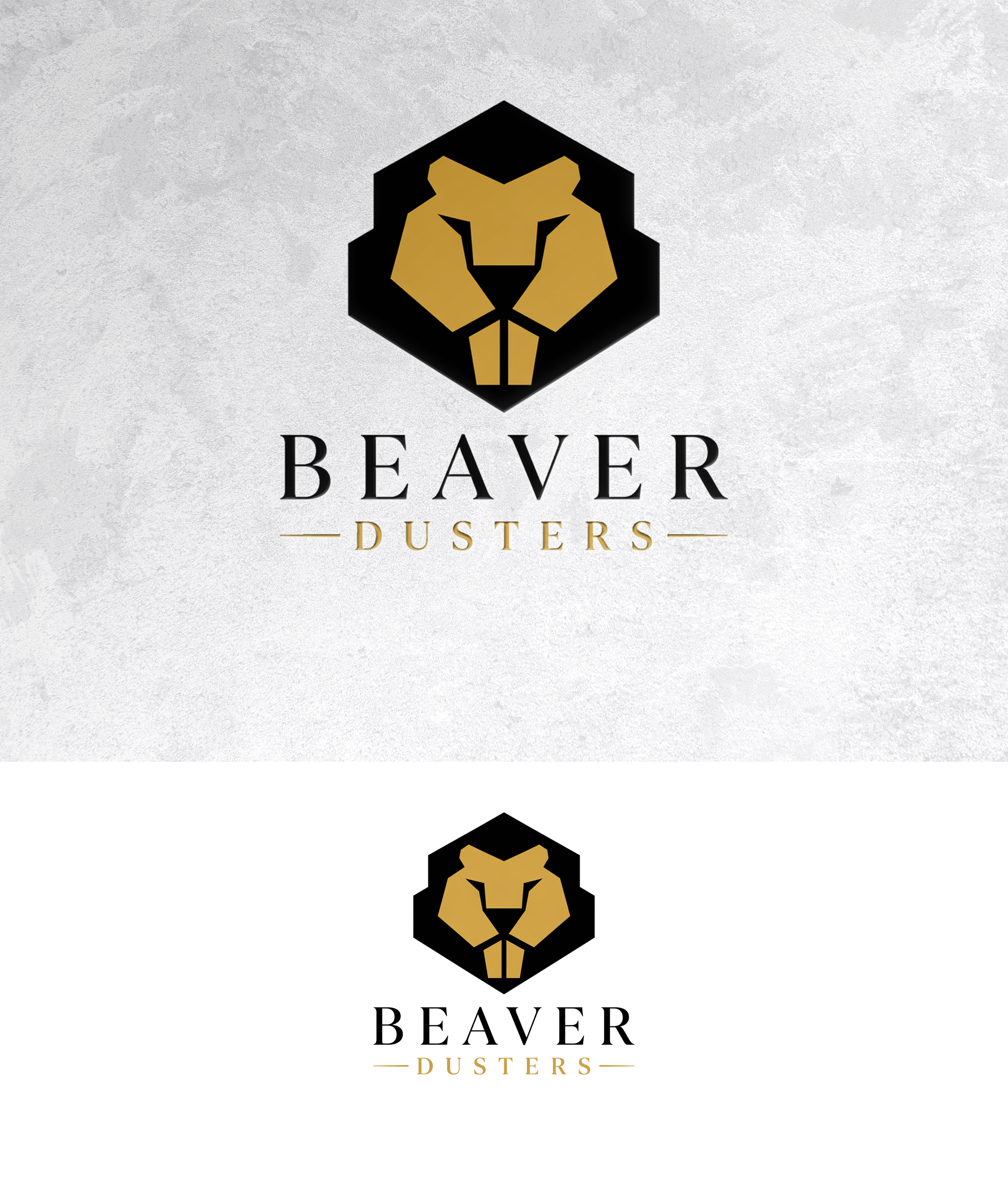 Logo Design by zamdi for this project | Design #37408661