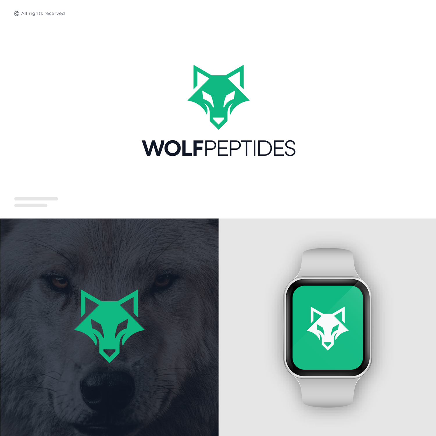 Logo Design by ZULLU for this project | Design #37394482