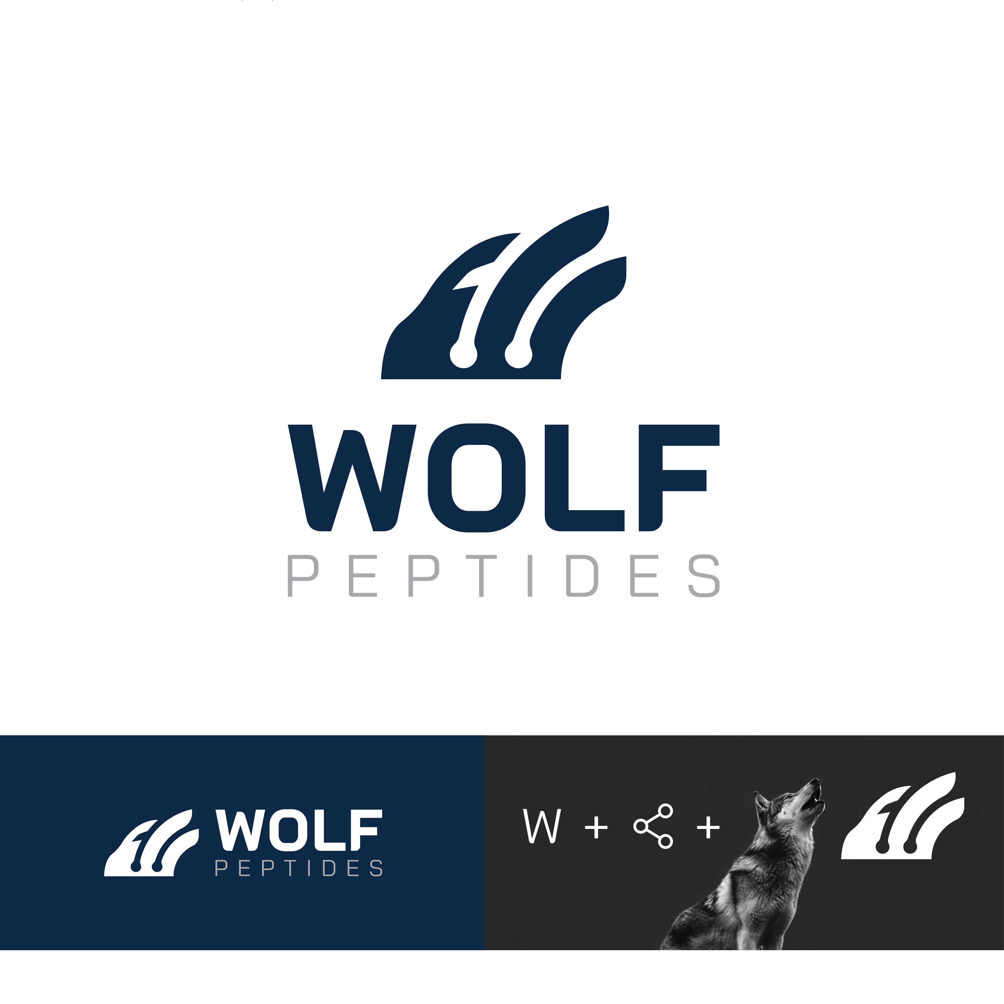Logo Design by StdLand for this project | Design #37391227