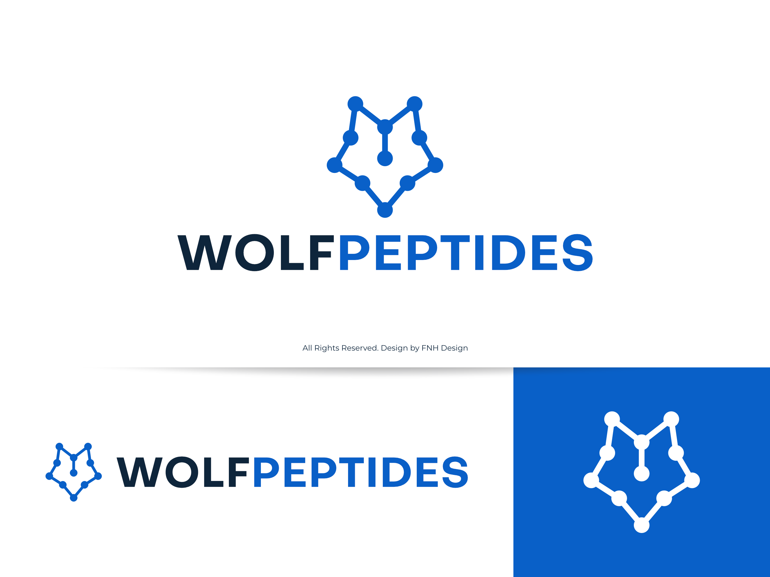 Logo Design by FNH Design for this project | Design #37402409