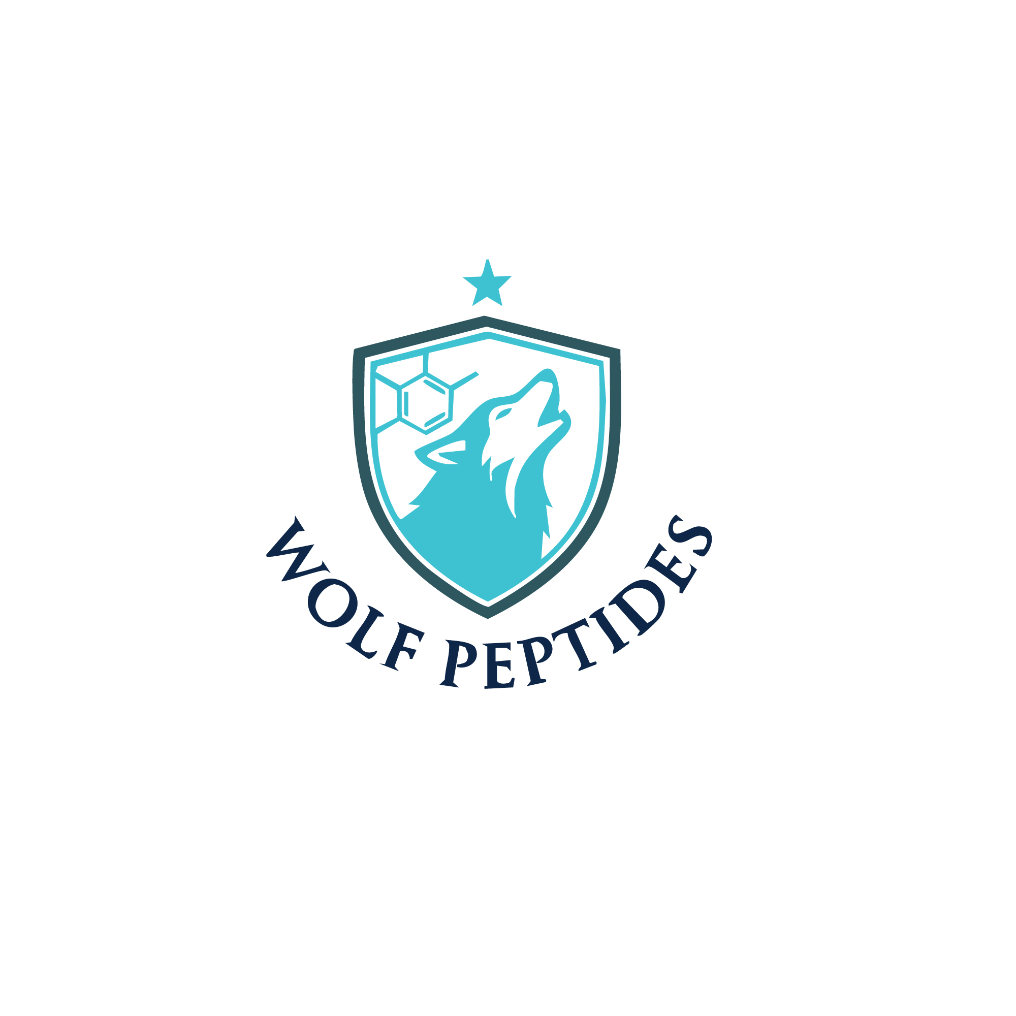 Logo Design by Logodesigns006 for this project | Design #37407167