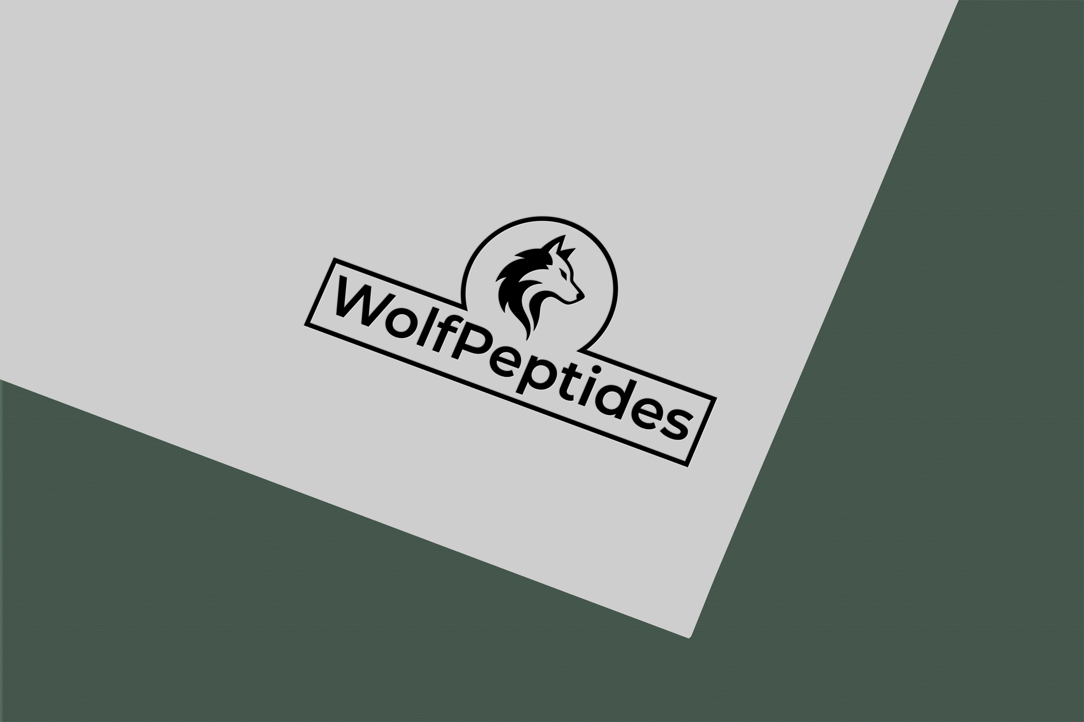 Logo Design by Jubaidur Creative Designer for this project | Design #37411126