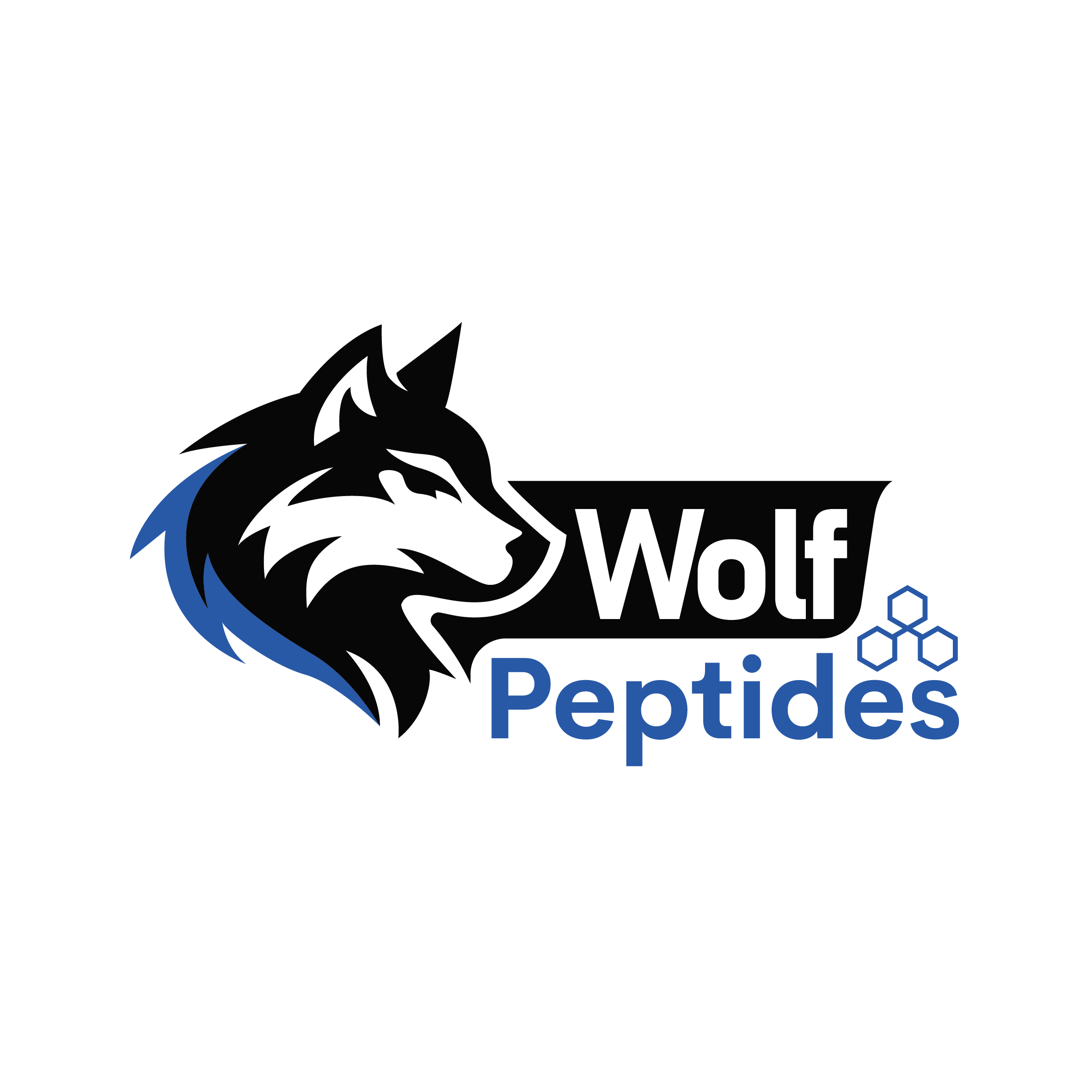 Logo Design by ArchaProduction for this project | Design #37394661
