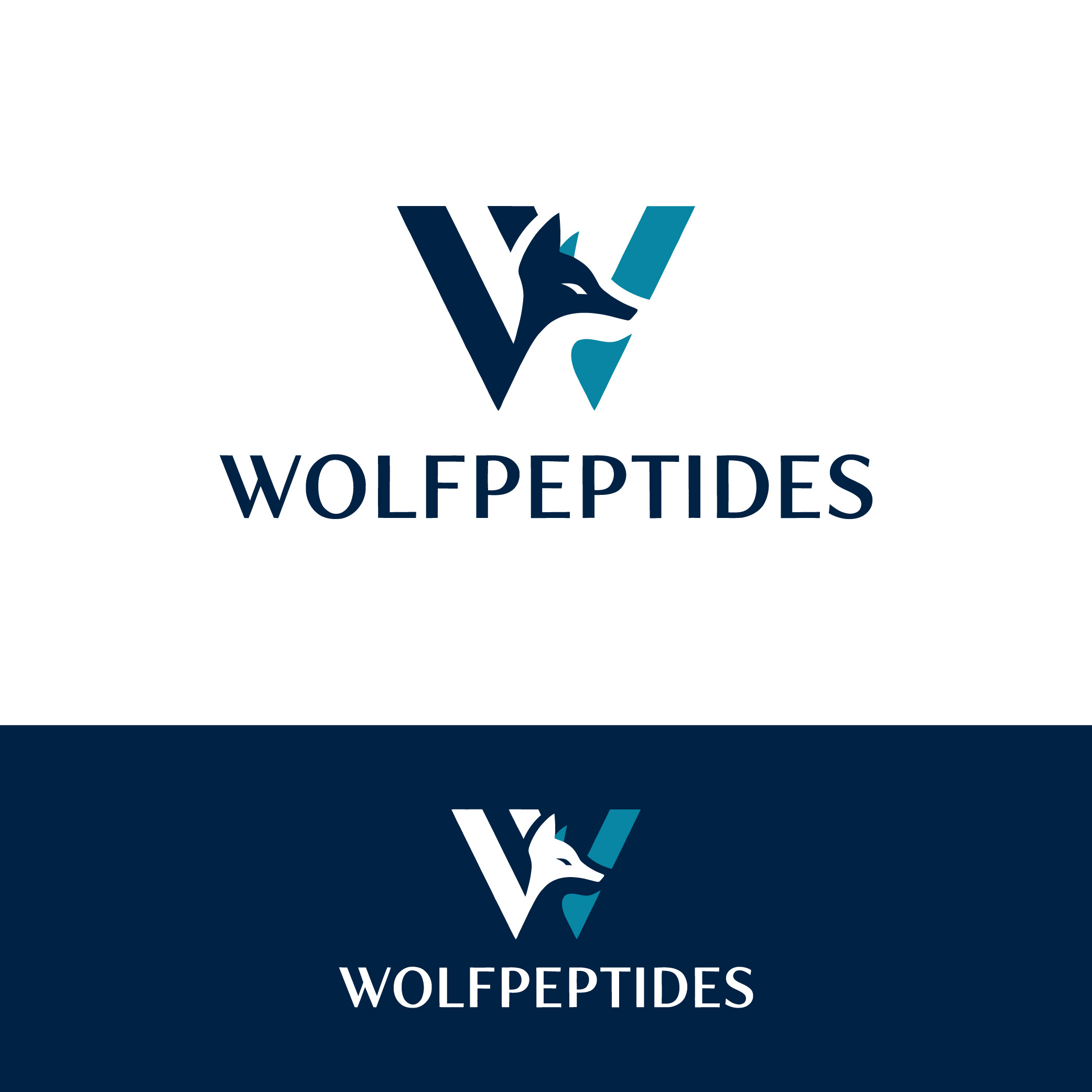Logo Design by Creative5 for this project | Design #37413726
