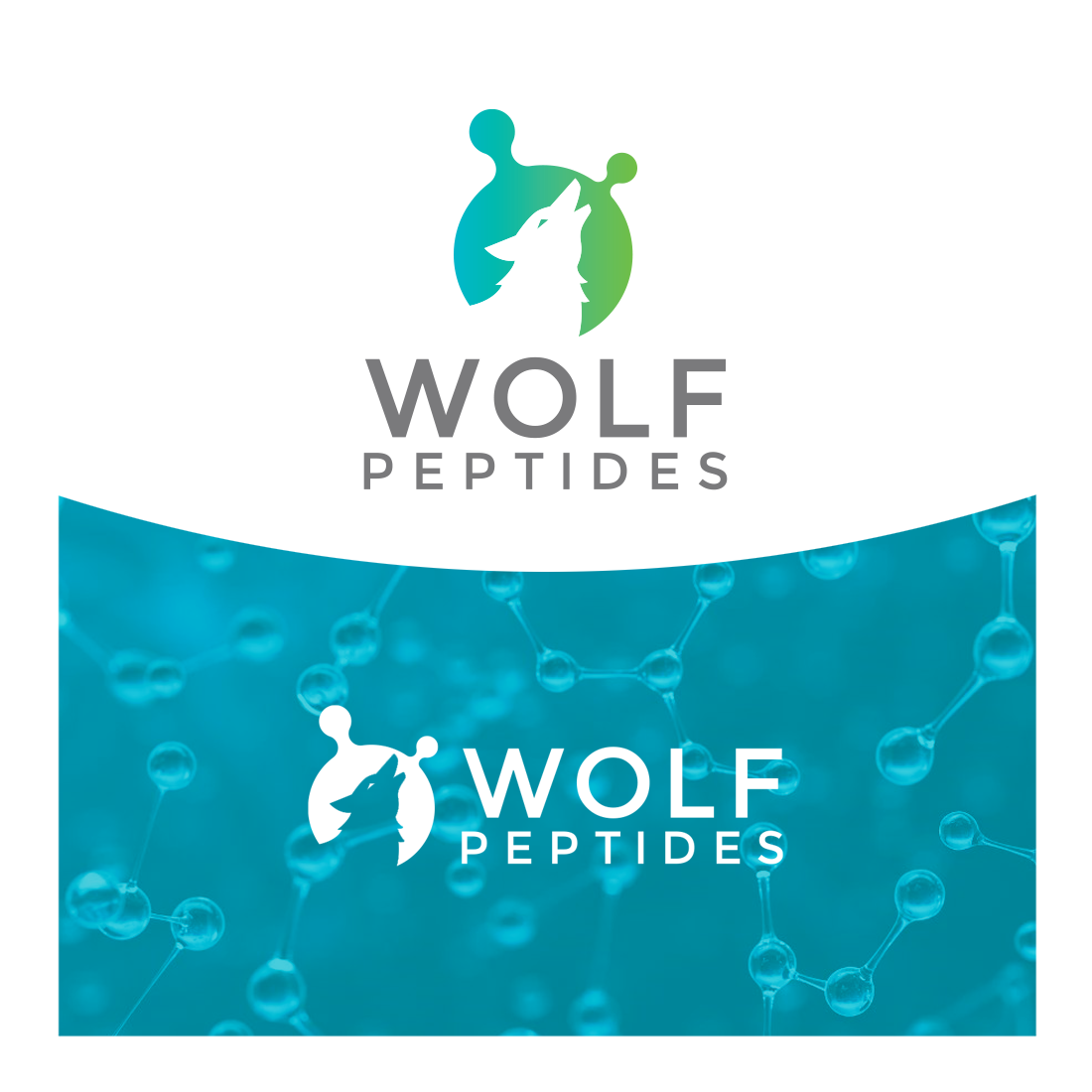 Logo Design by Mungbejotok for this project | Design #37411562