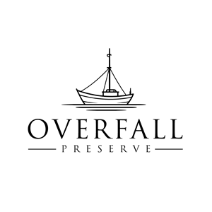 Logo Design by Elrich for Reed Ventures | Design: #37390094