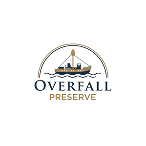 Logo Design by ArchaProduction for Reed Ventures | Design: #37393500