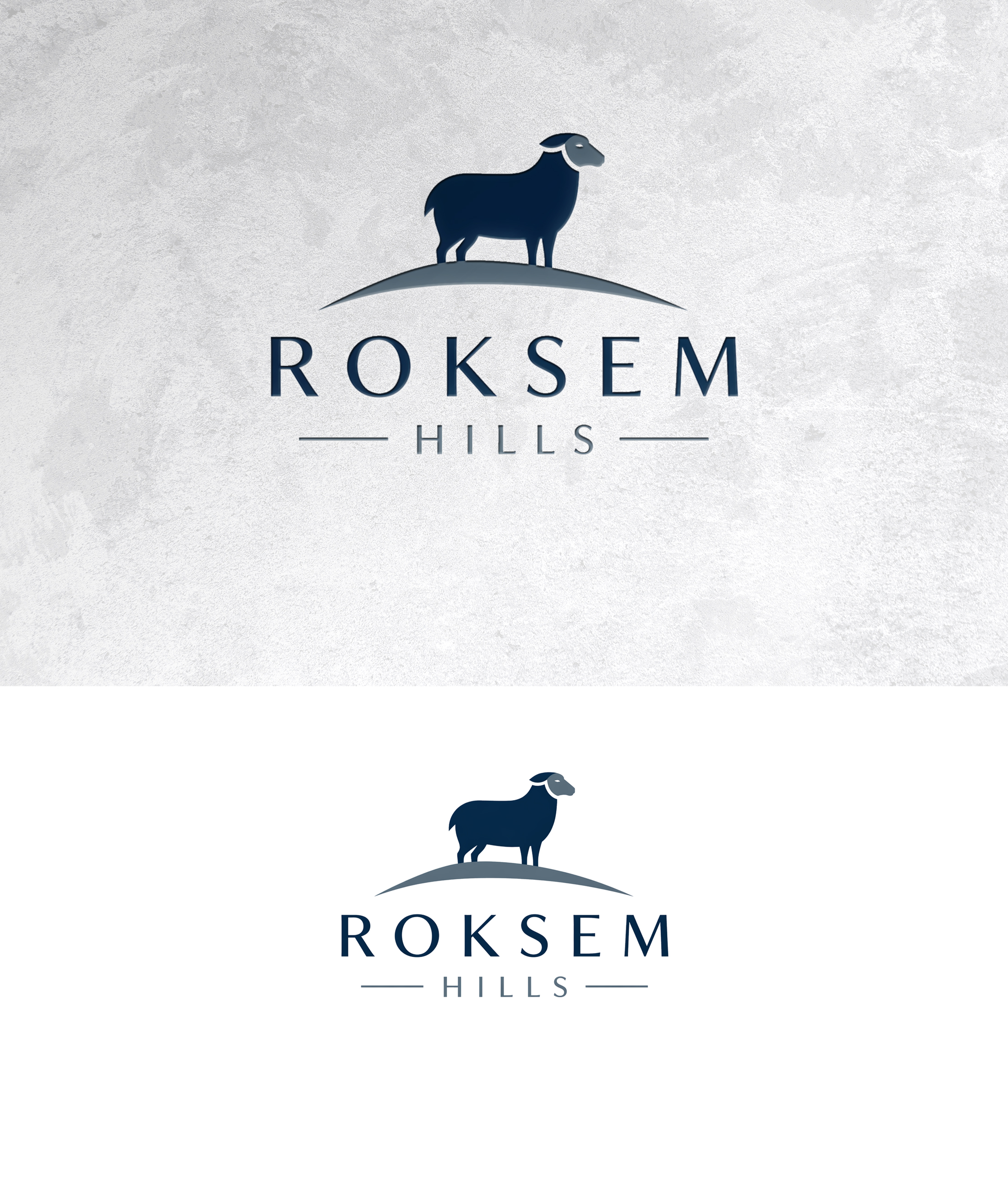 Design de Logo par zamdi pour ce projet | Design #37408771