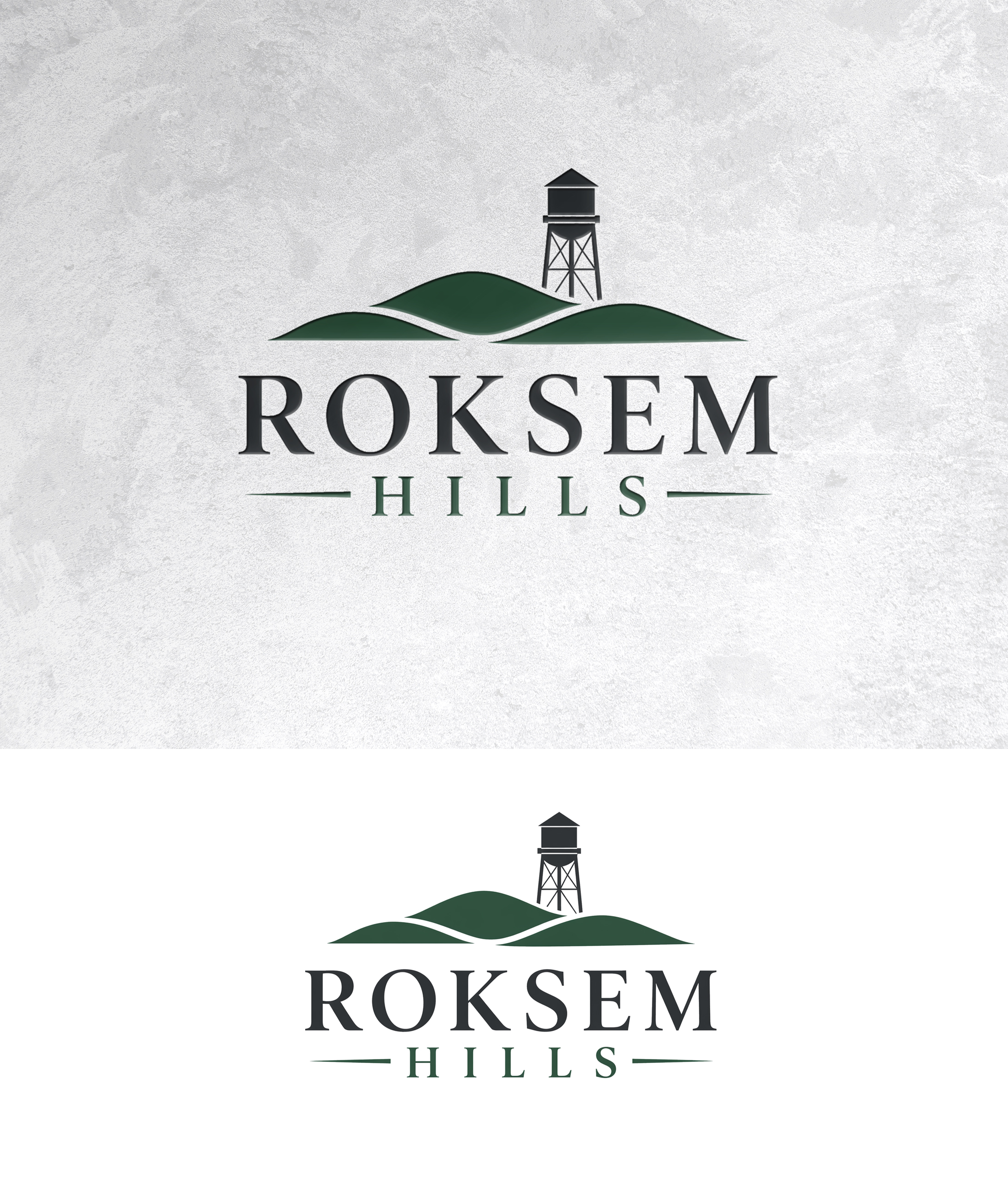 Design de Logo par zamdi pour ce projet | Design #37408773