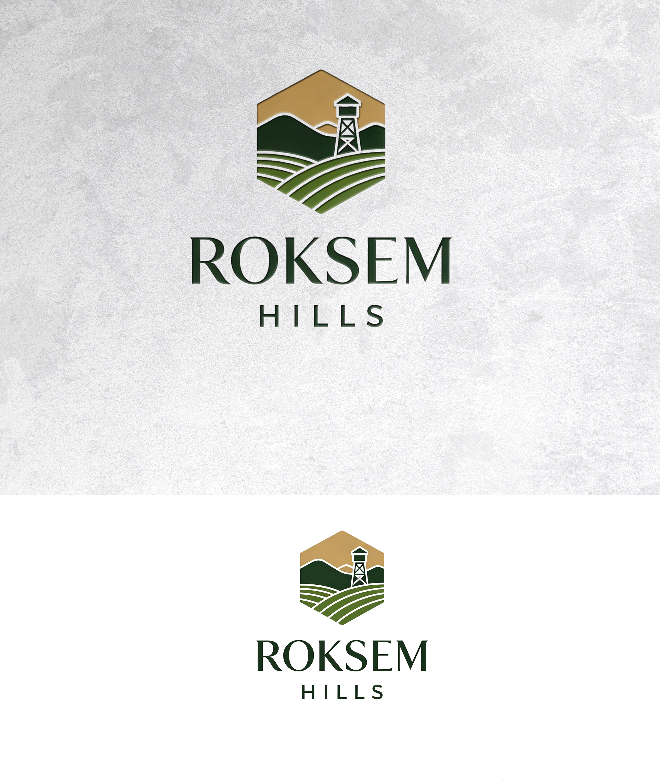 Design de Logo par zamdi pour ce projet | Design #37408774