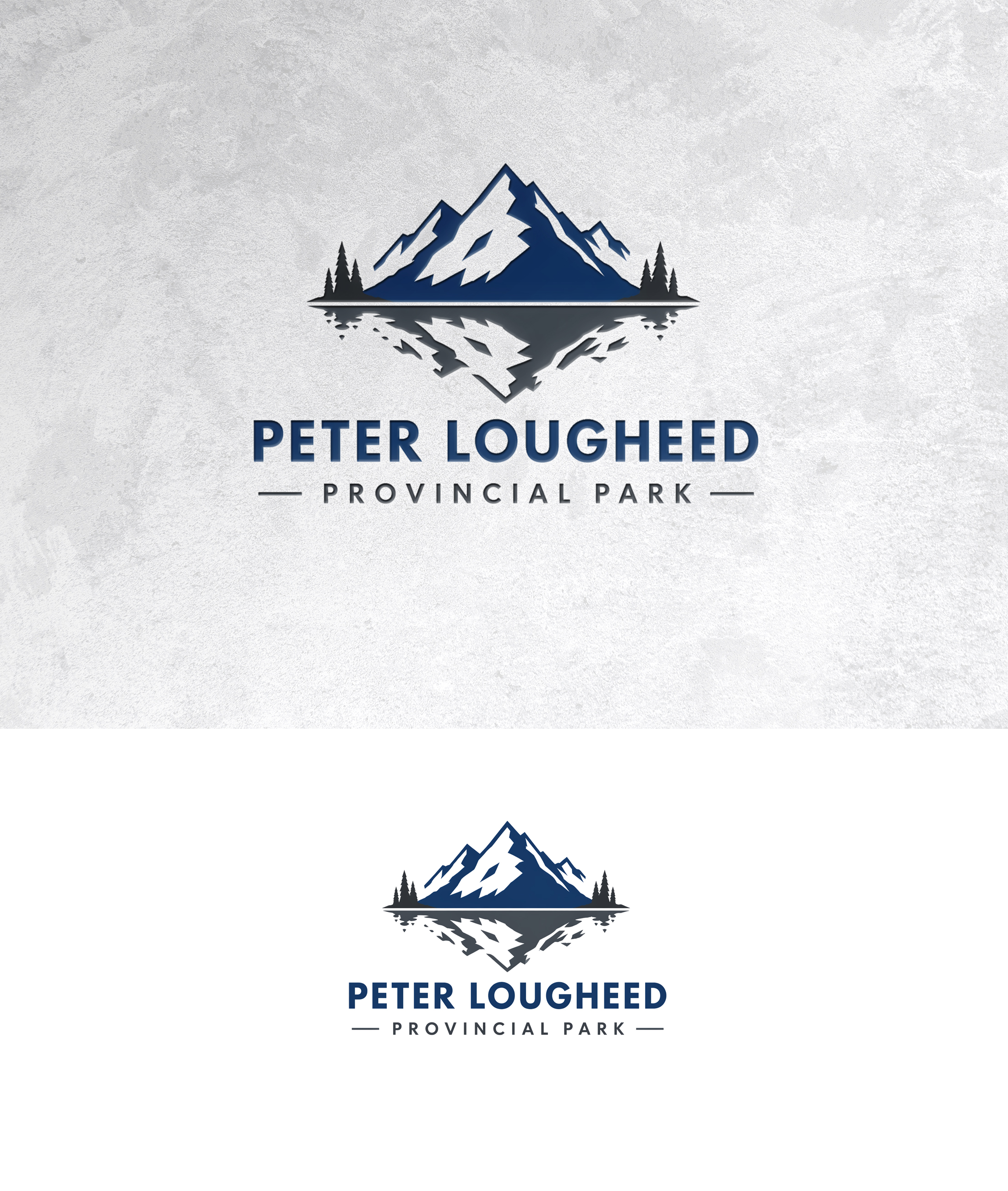 Design de Logo par zamdi pour ce projet | Design #37413800