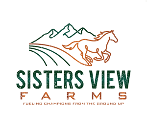 Logo Design by Logotruck for this project | Design: #37423468