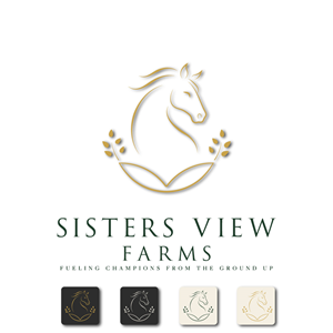 Design de Logo par ADITIKHARIA pour ce projet | Design : #37402211