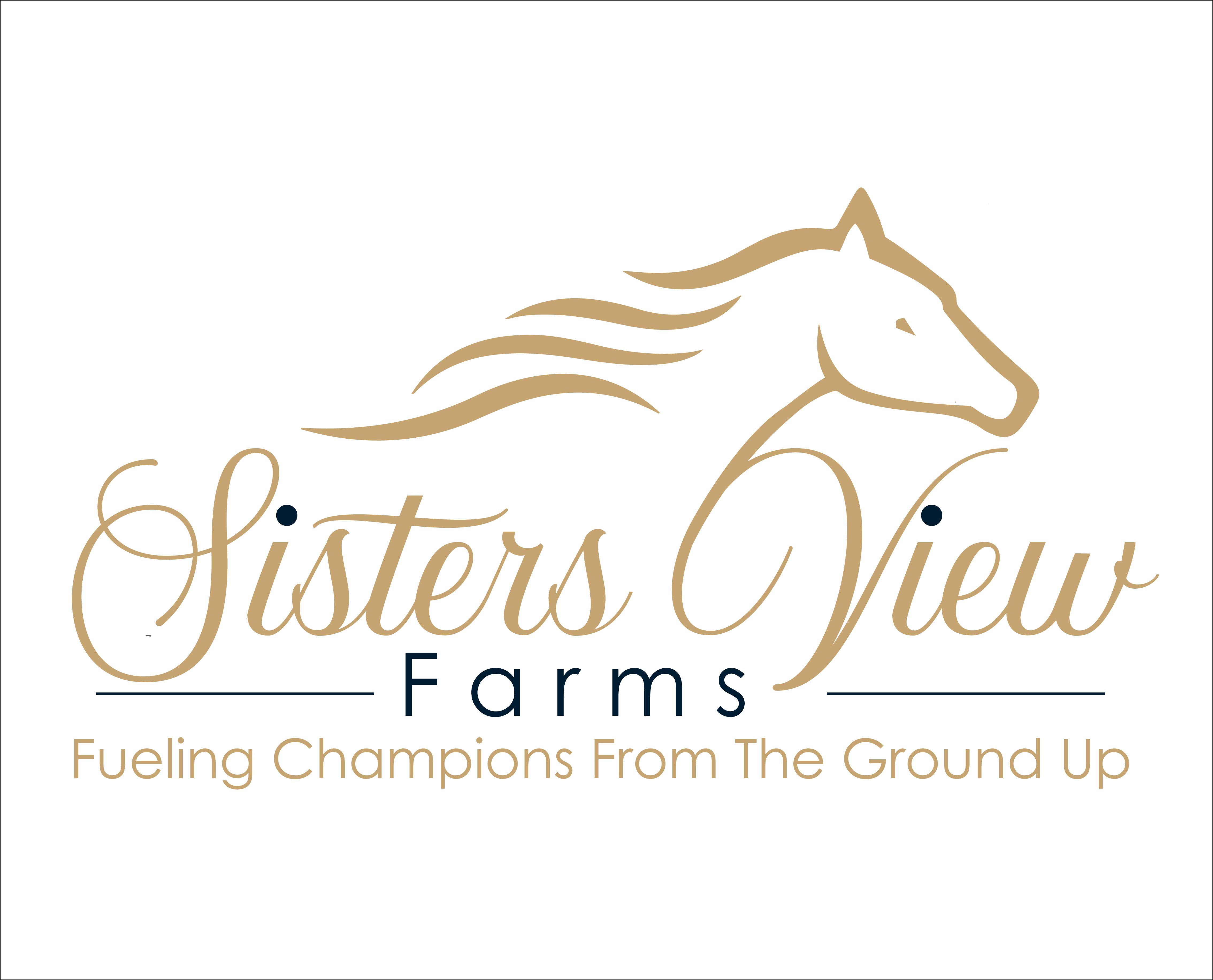 Logo Design by Design hunter 07 for this project | Design #37401278