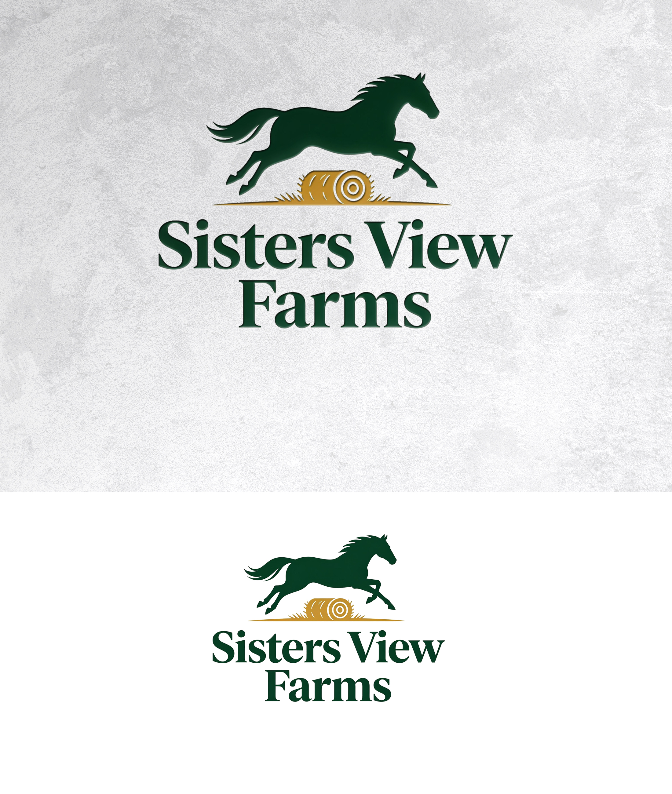 Logo Design by zamdi for this project | Design #37412858