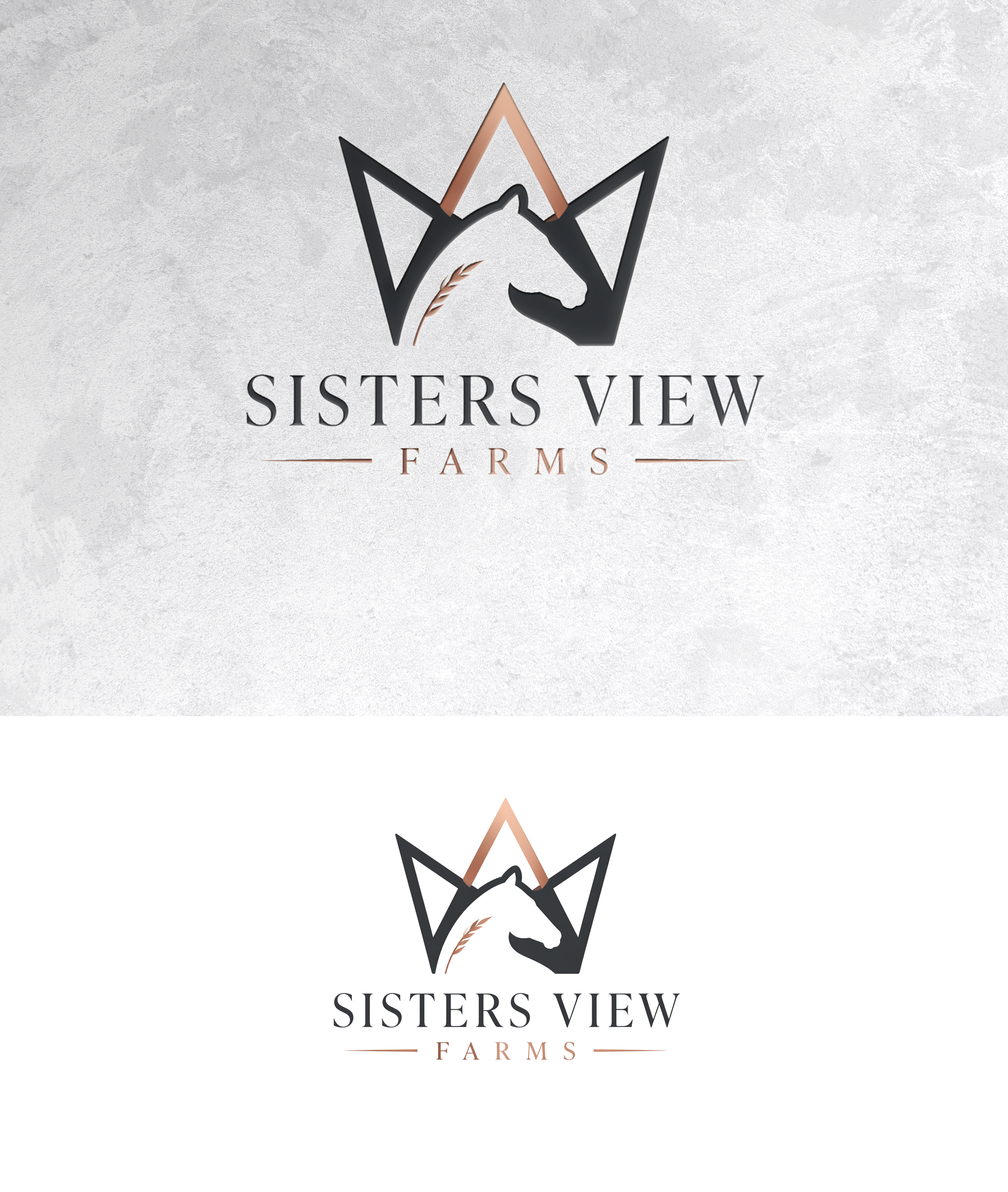 Logo Design by zamdi for this project | Design #37412859