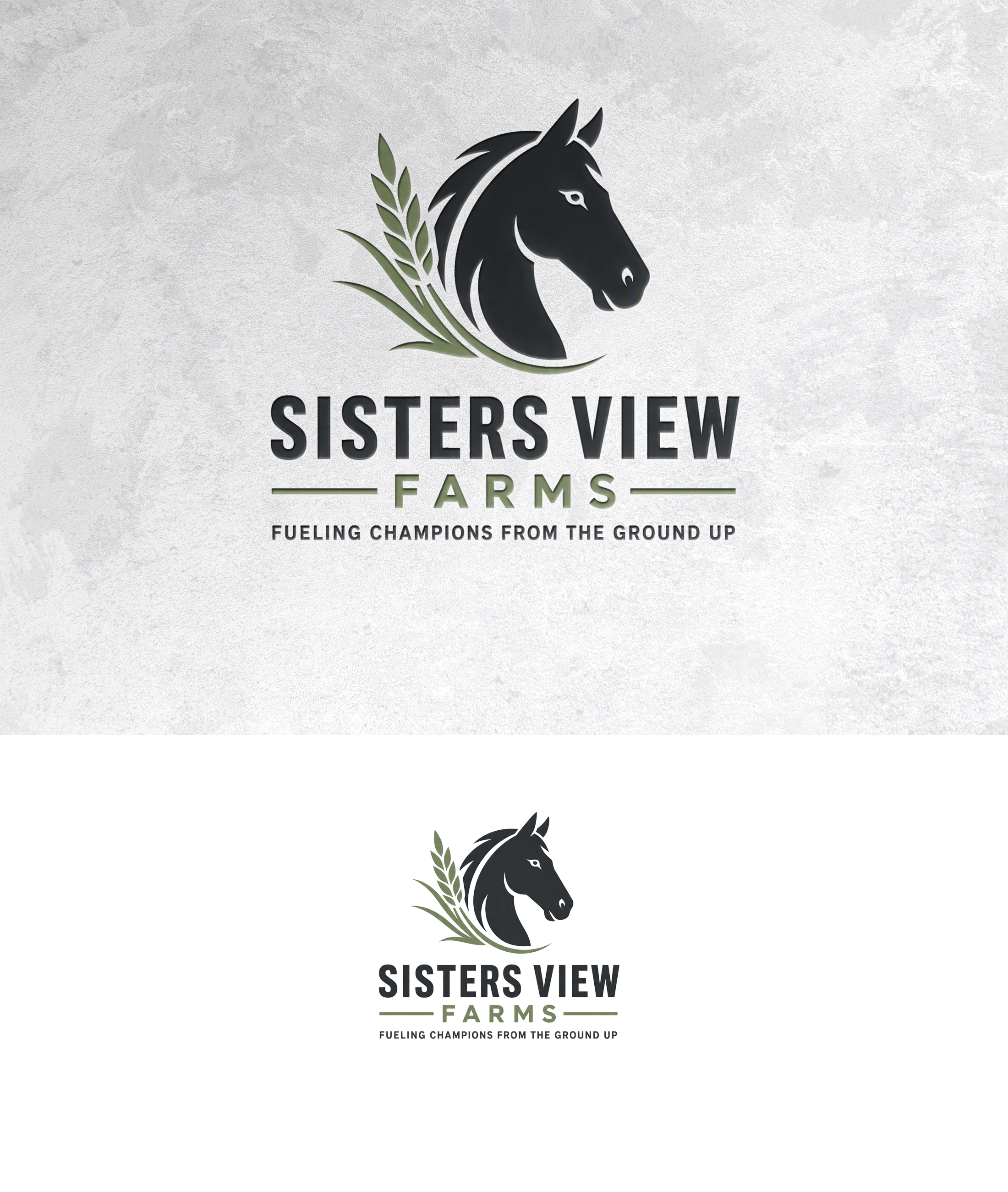 Logo Design by zamdi for this project | Design #37585085
