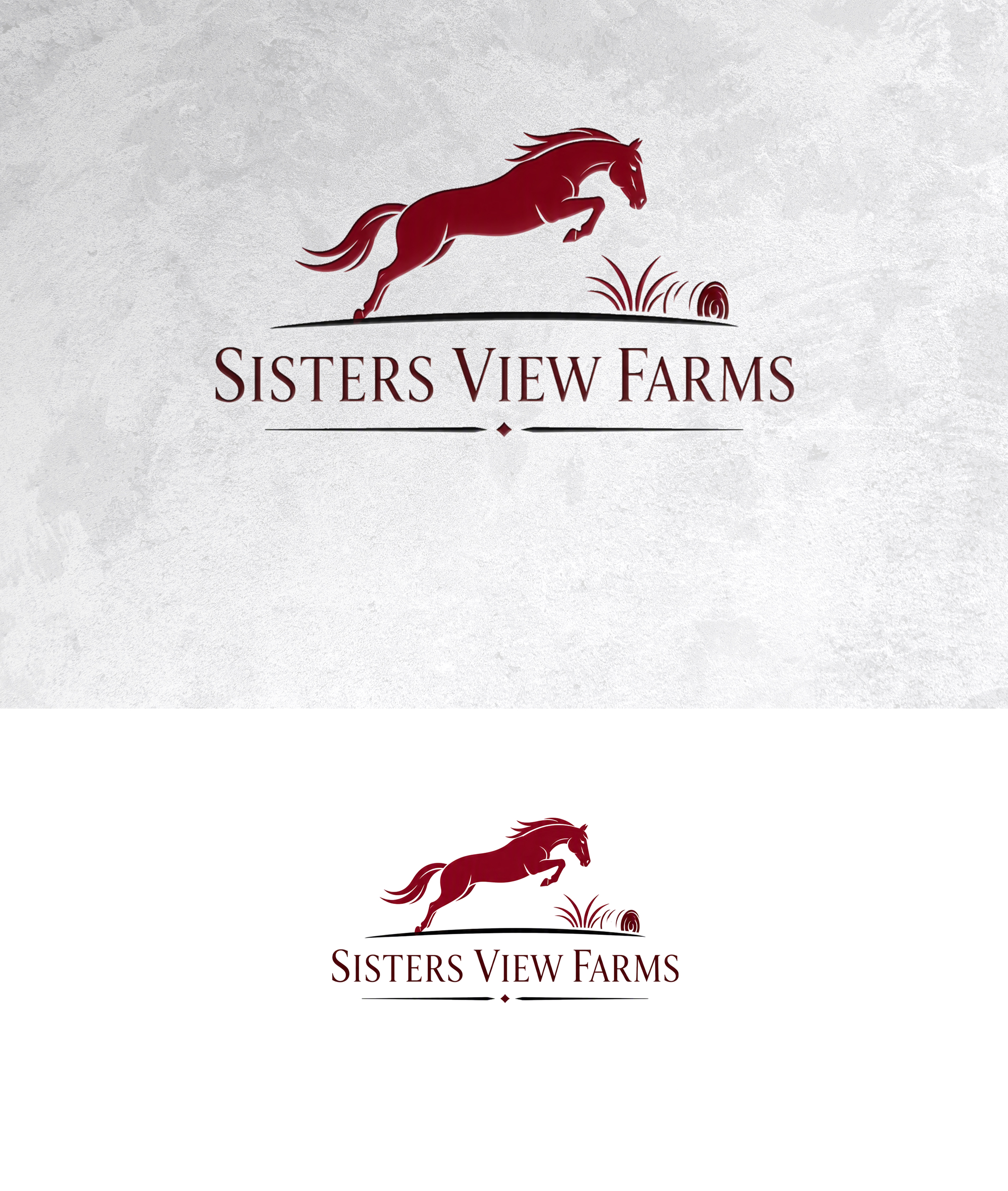 Logo Design by zamdi for this project | Design #37585088