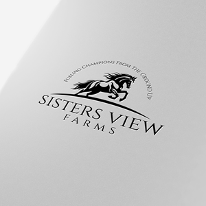 Design de Logo par ares_h1 pour ce projet | Design #37399002