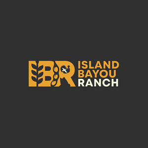Logo Design by Designer Nayem for this project | Design: #37402994