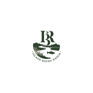 Logo Design by Jeferson HP for this project | Design: #37400513