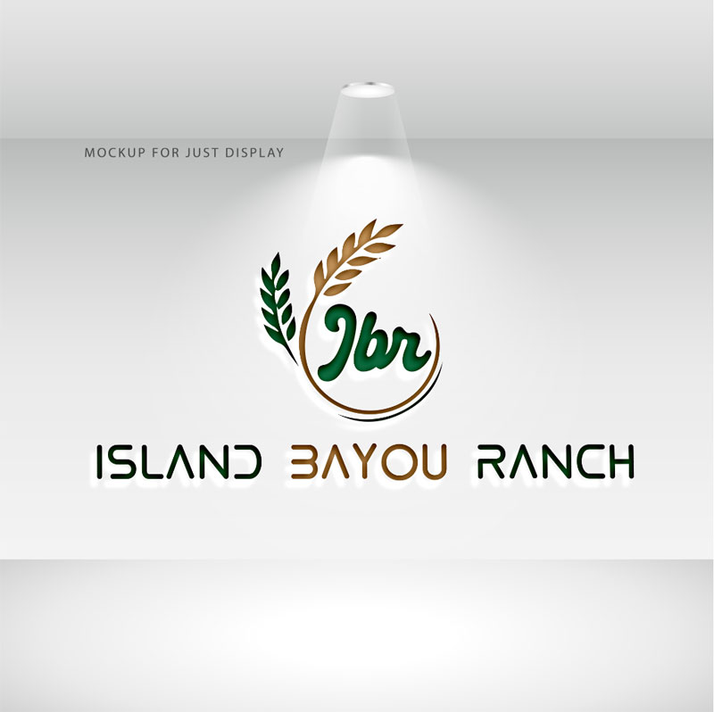 Logo Design by JMN Signatures for this project | Design #37403468