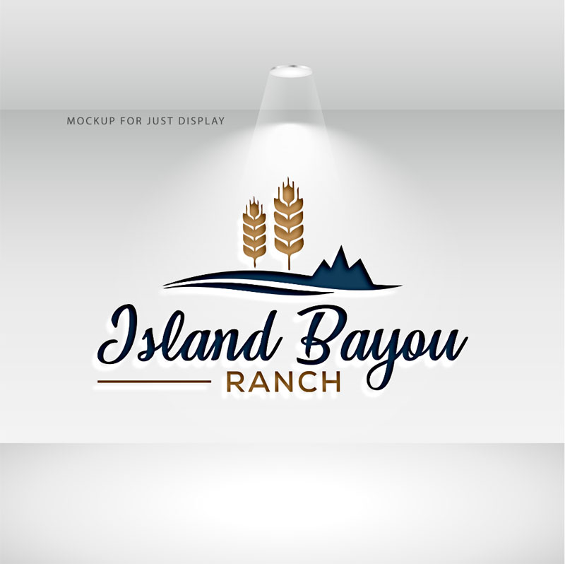 Logo Design by JMN Signatures for this project | Design #37403471