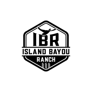 Logo Design by ddnsycrowd for this project | Design: #37403607