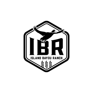 Logo Design by ddnsycrowd for this project | Design: #37403617