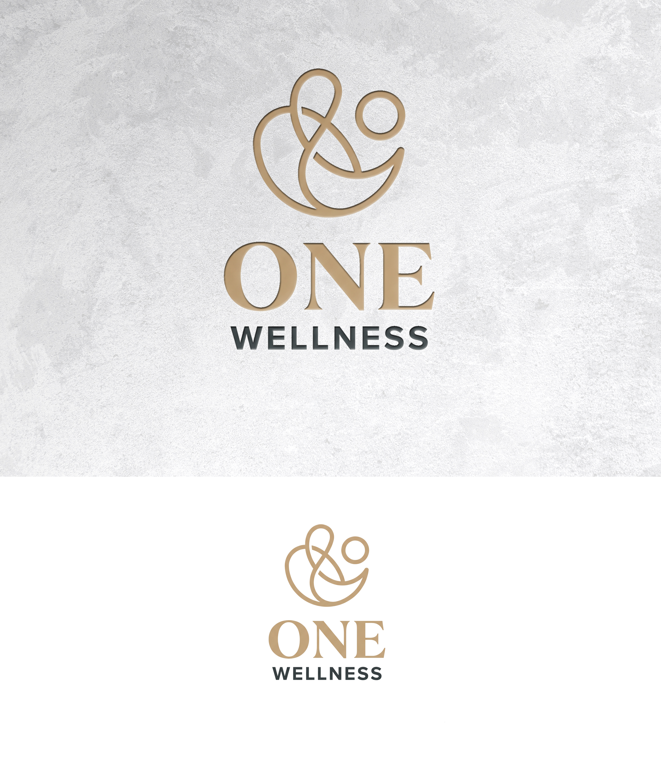 Logo Design by zamdi for this project | Design #37408116
