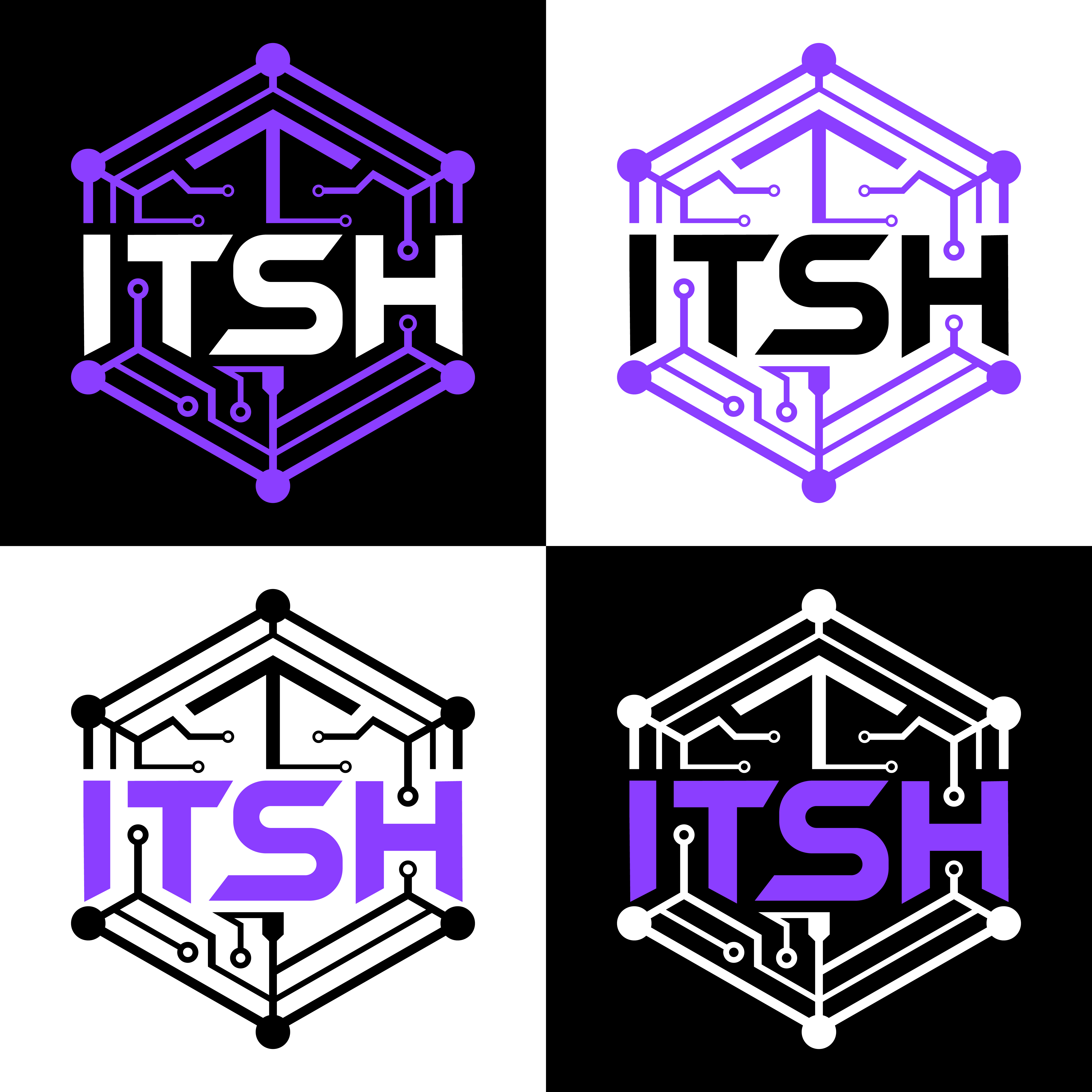 Logo Design by Shakib Ahmed. for I.T Southern Highlands | Design #37466322