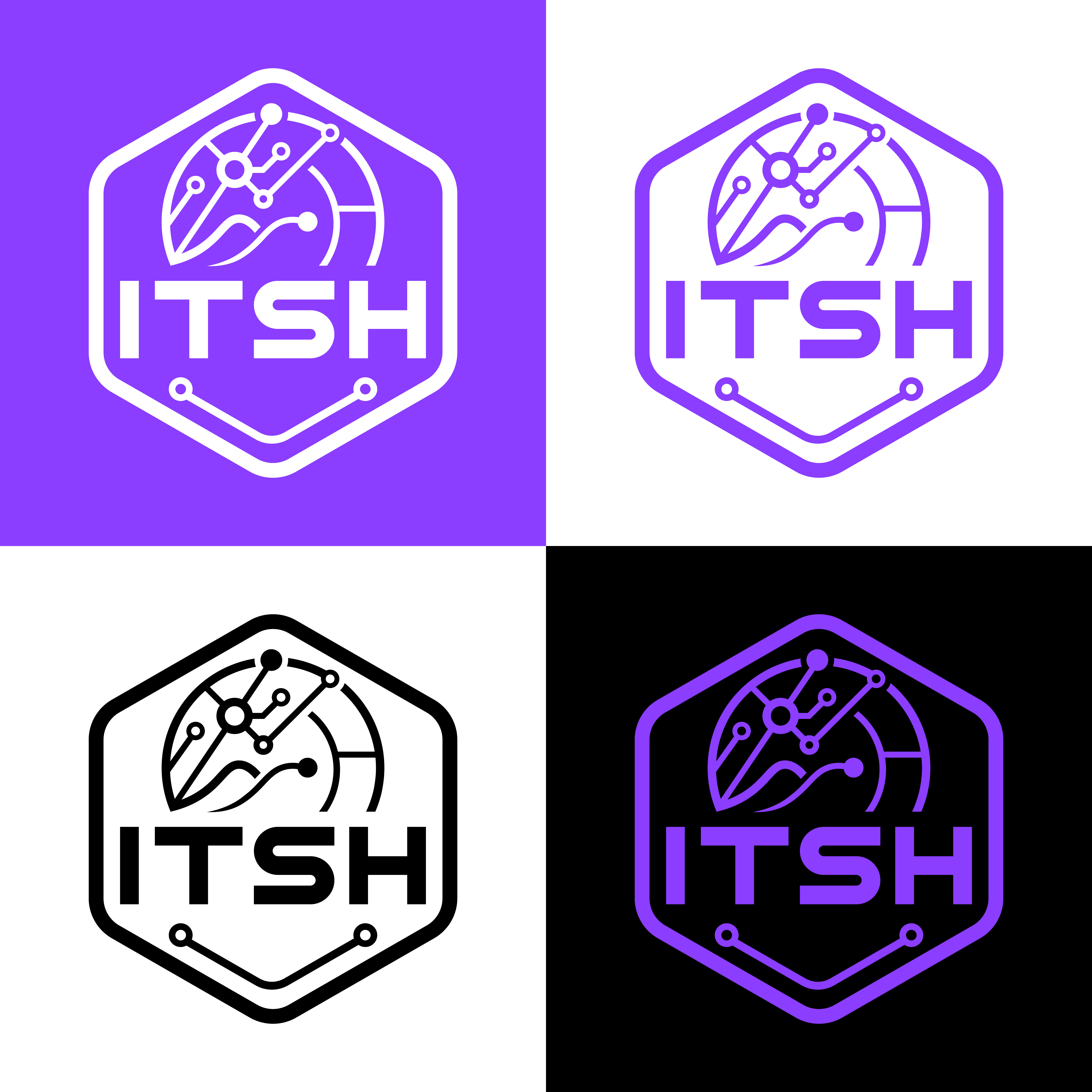 Logo Design by Shakib Ahmed. for I.T Southern Highlands | Design #37466704