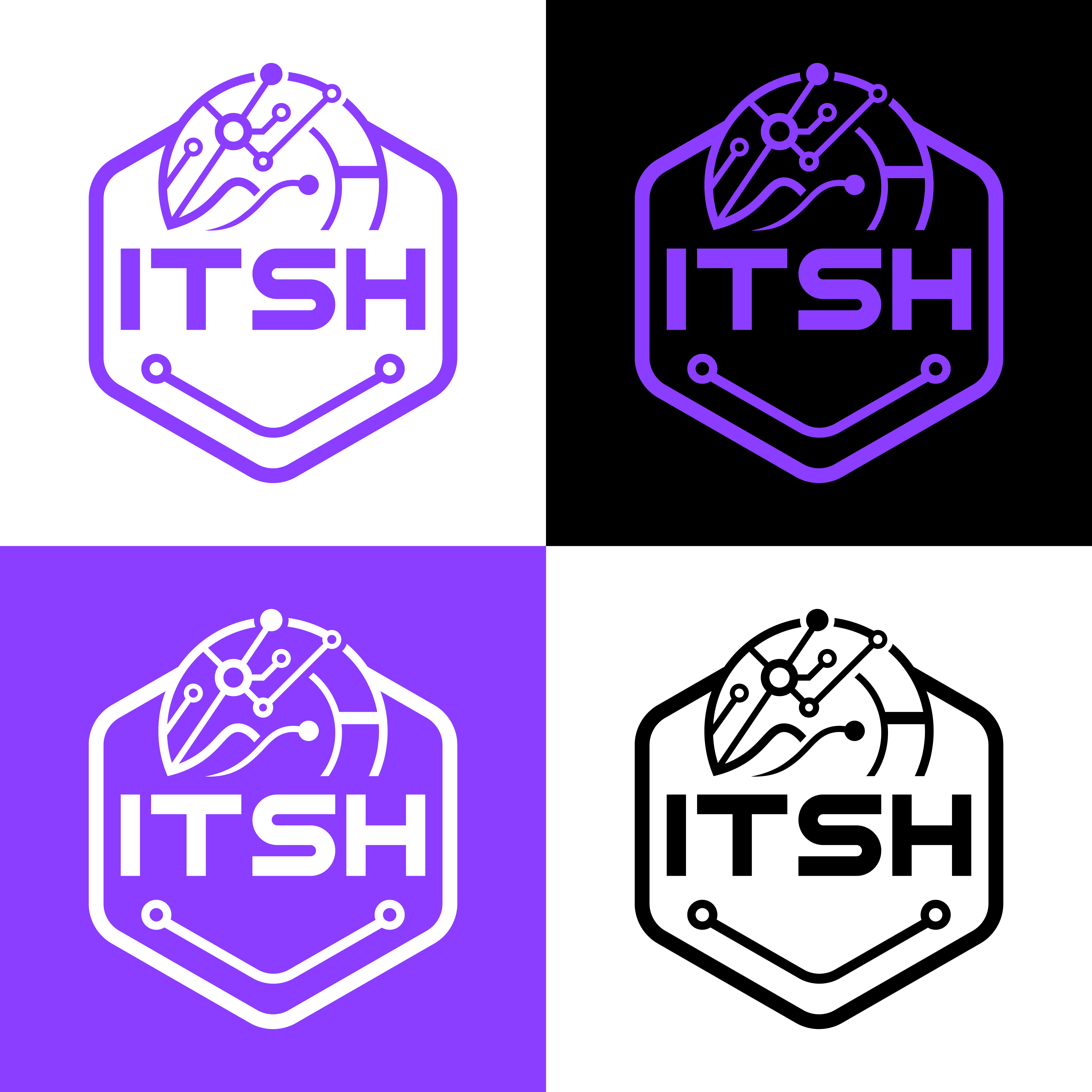 Logo Design by Shakib Ahmed. for I.T Southern Highlands | Design #37466713