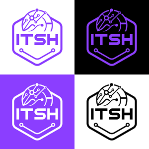 Logo Design by Shakib Ahmed. for I.T Southern Highlands | Design: #37466713
