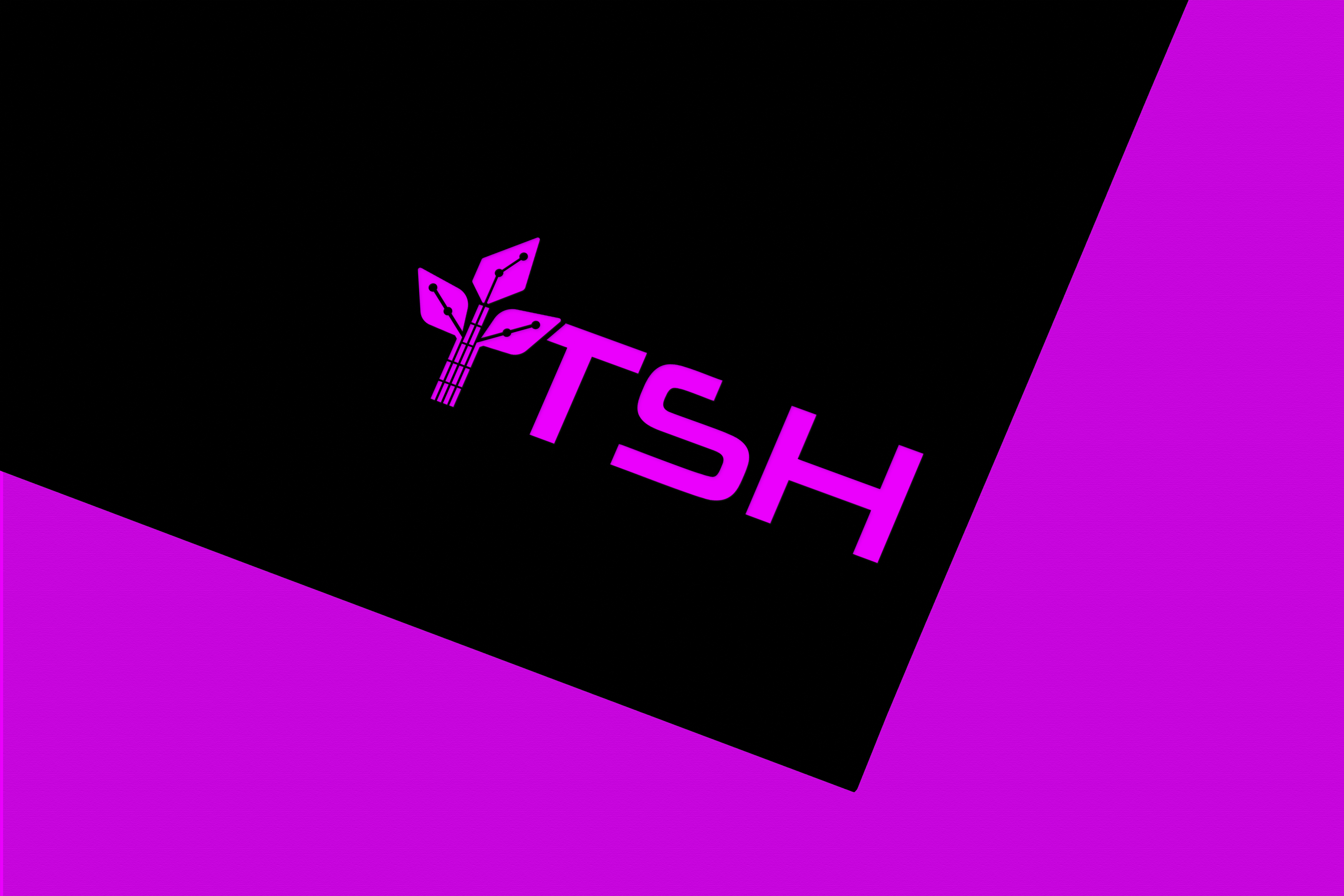 Logo Design by Jubaidur Creative Designer for I.T Southern Highlands | Design #37415472