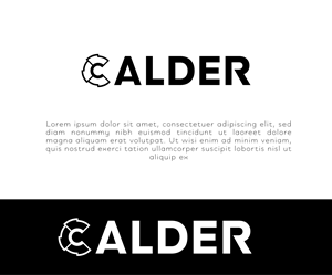 Logo Design by Tube light for SPEED AND STYLE | Design: #37421225