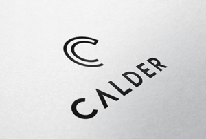 Logo Design by Tube light for SPEED AND STYLE | Design: #37430490