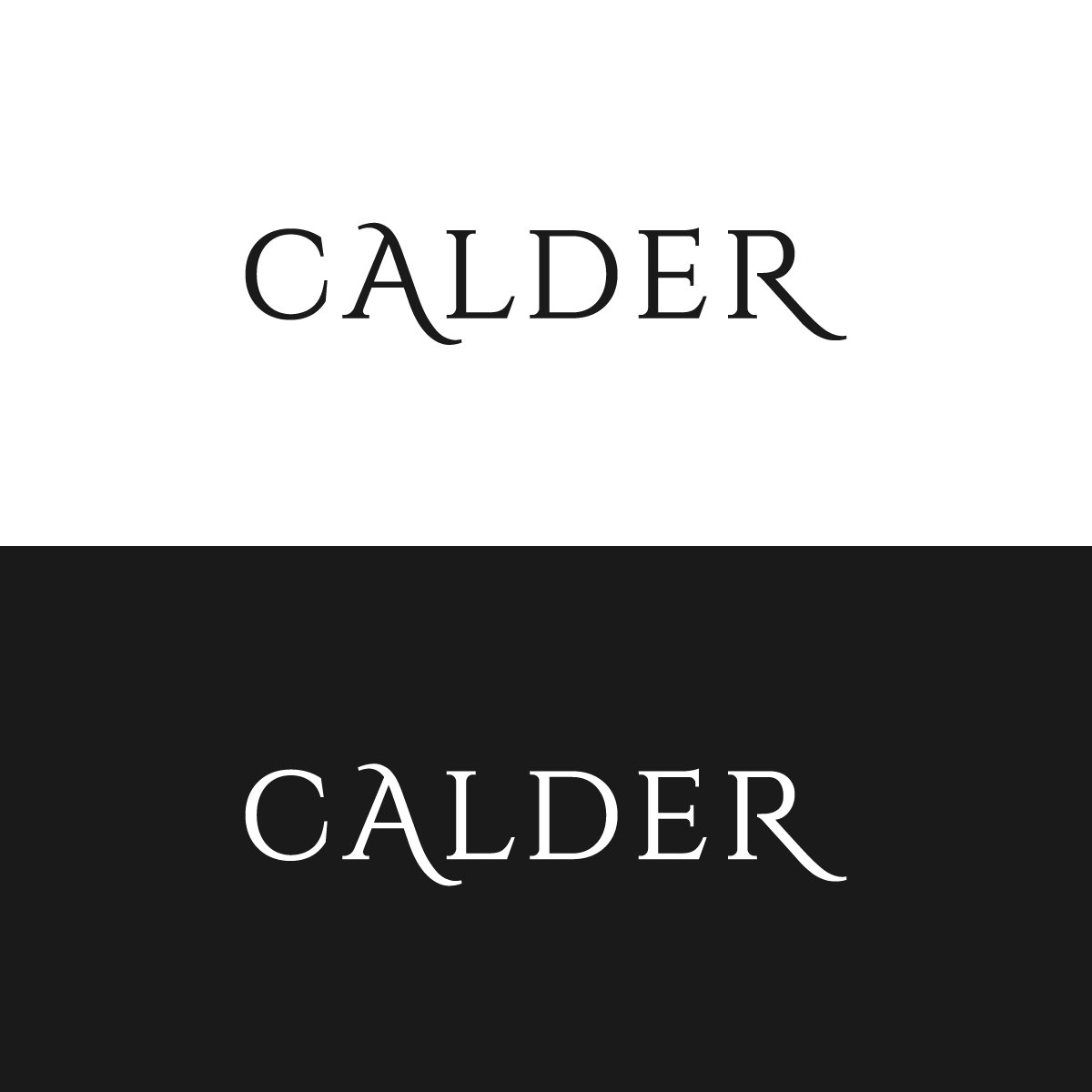 Logo Design by Elrich for SPEED AND STYLE | Design #37410882