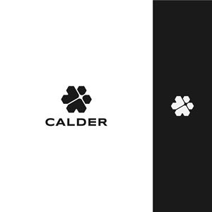 Logo Design by jefri0 for SPEED AND STYLE | Design: #37430305