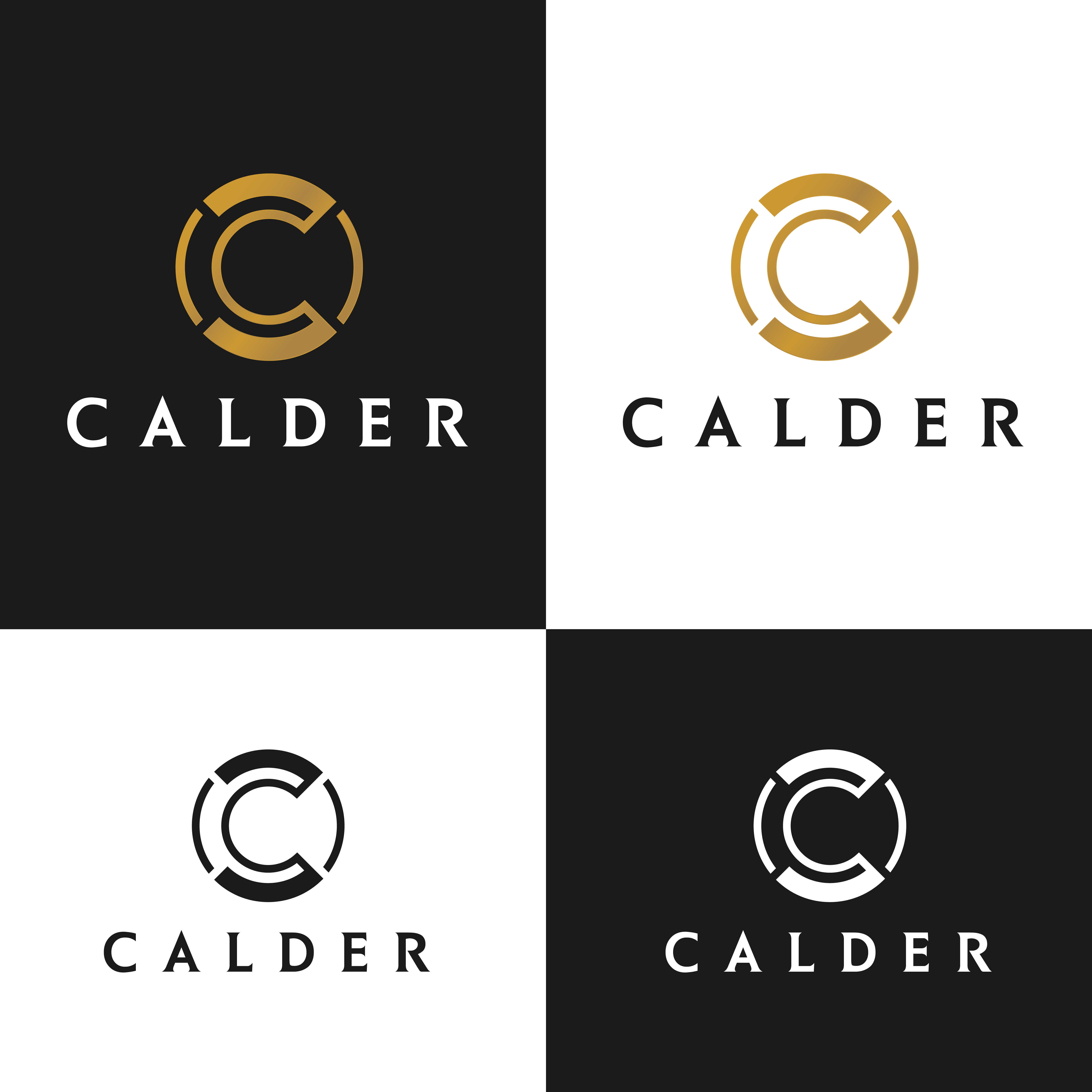 Logo Design by ArtiiSans for SPEED AND STYLE | Design #37415485