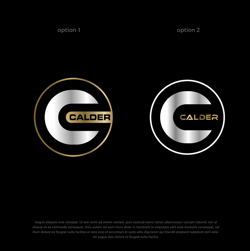 Logo Design by @Dh24 for SPEED AND STYLE | Design #37441470