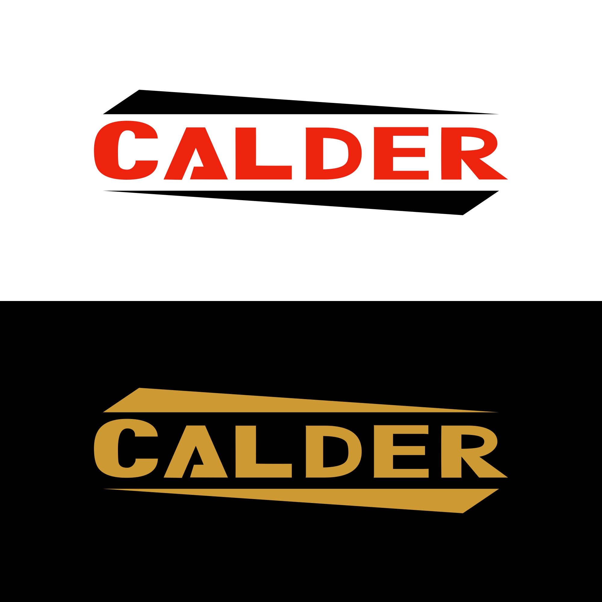 Logo Design by agung182 for SPEED AND STYLE | Design #37431867