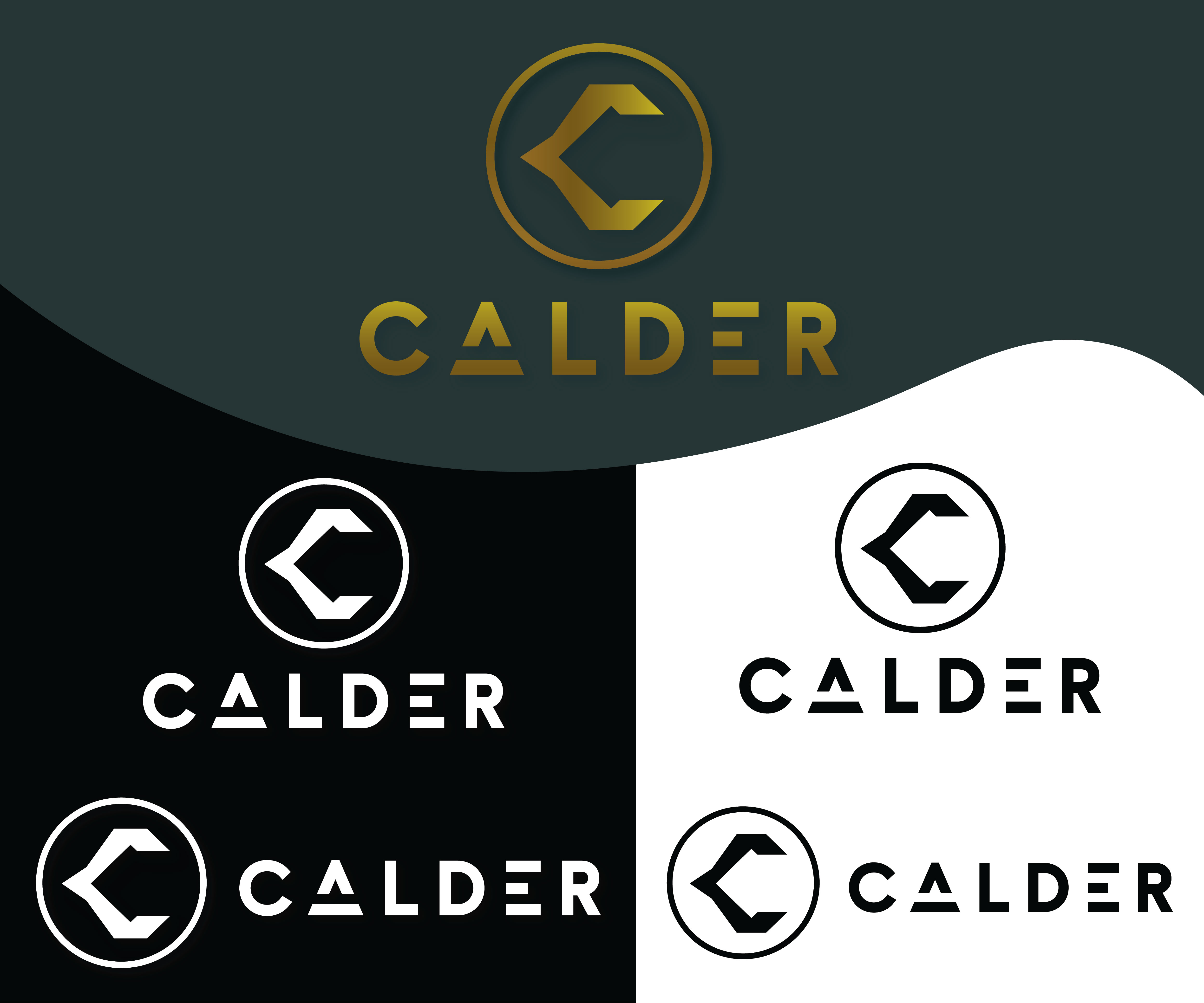 Logo Design by ARIF YULIANTO for SPEED AND STYLE | Design #37452526
