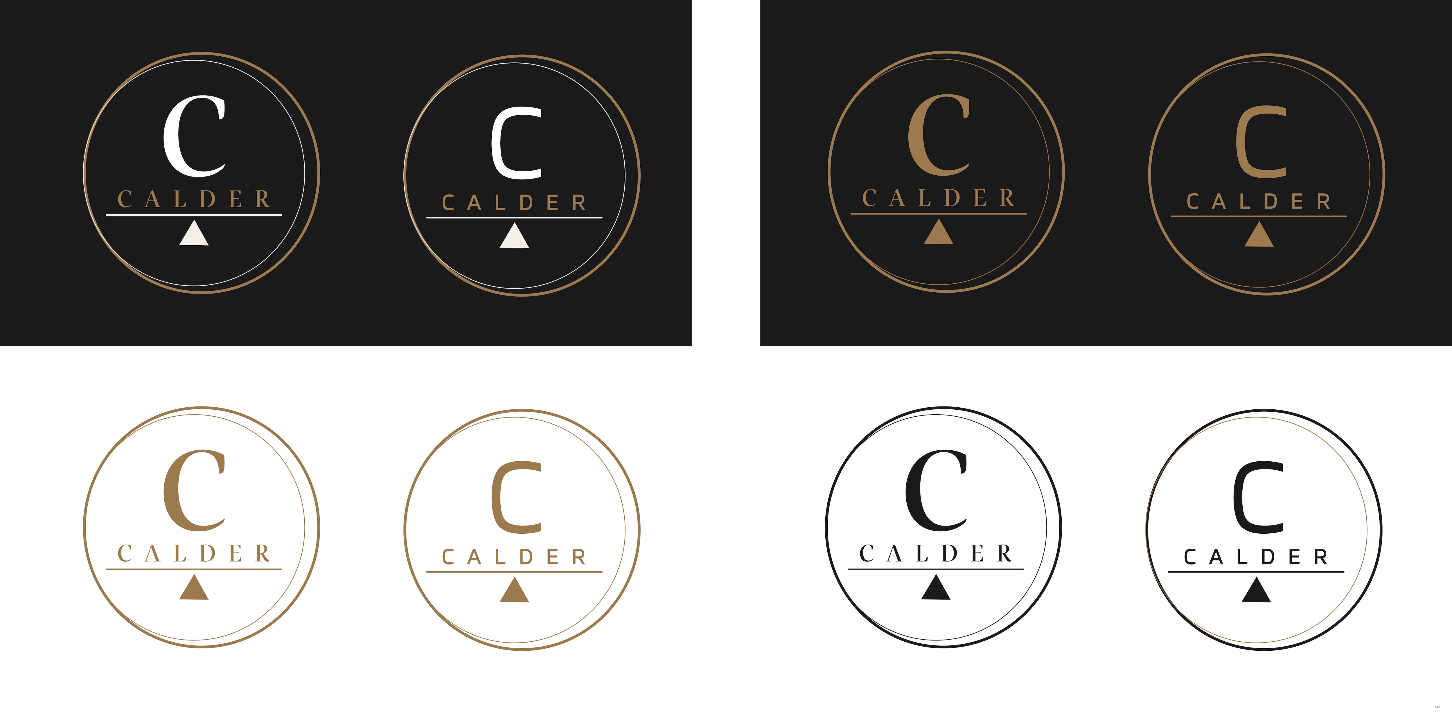 Logo Design by pb for SPEED AND STYLE | Design #37414144