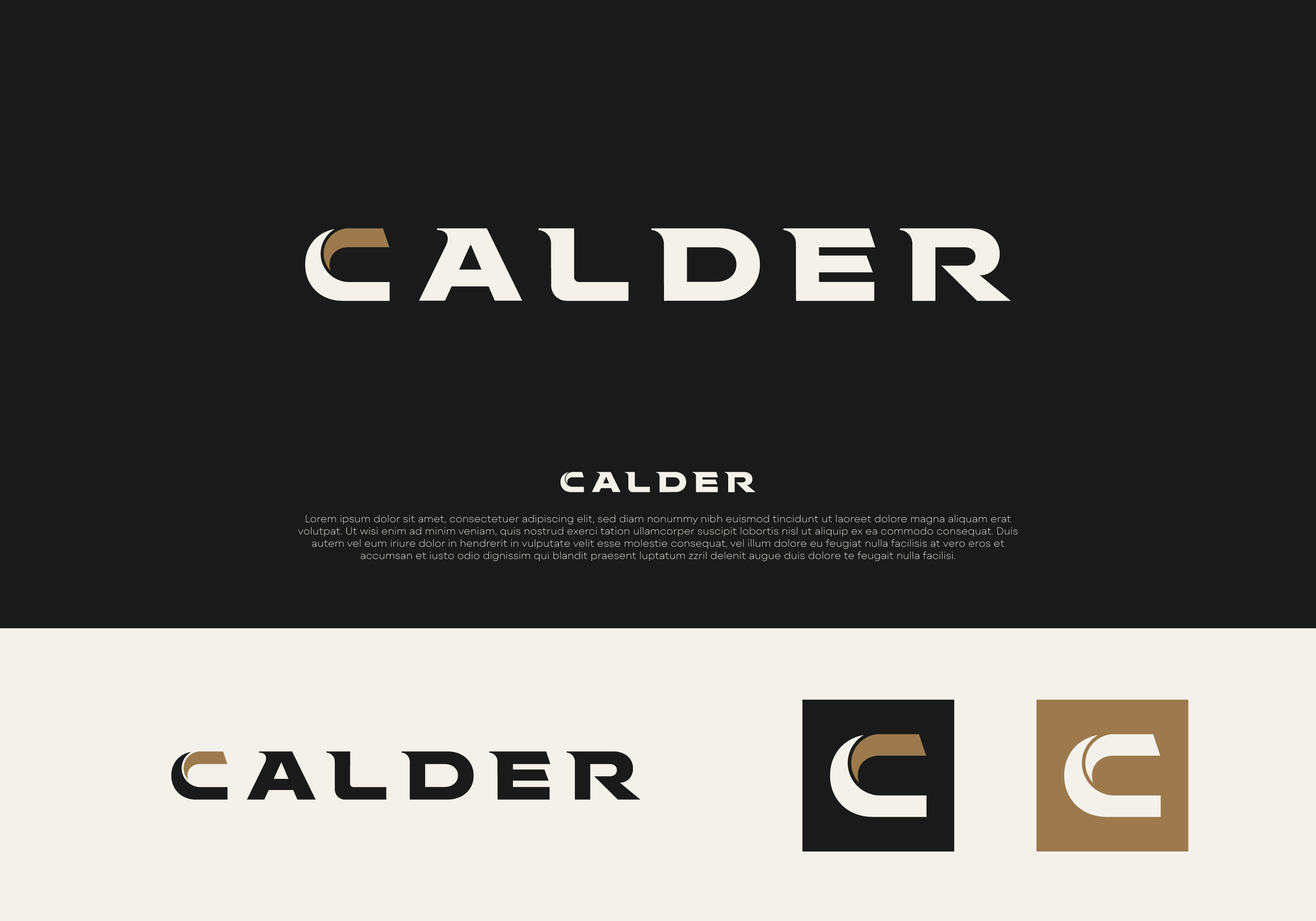 Logo Design by DesignUniq for SPEED AND STYLE | Design #37410156