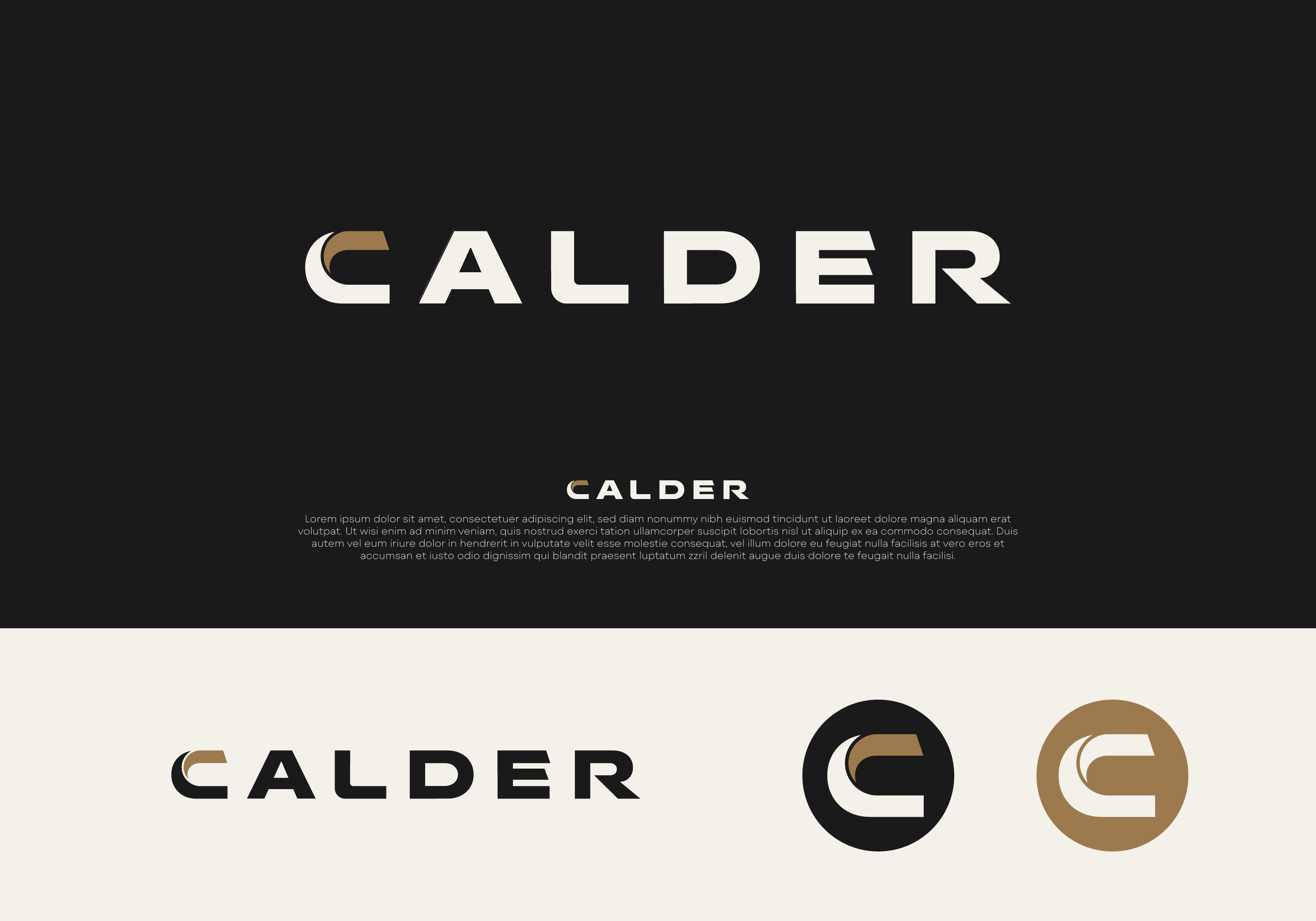 Logo Design by DesignUniq for SPEED AND STYLE | Design #37411281