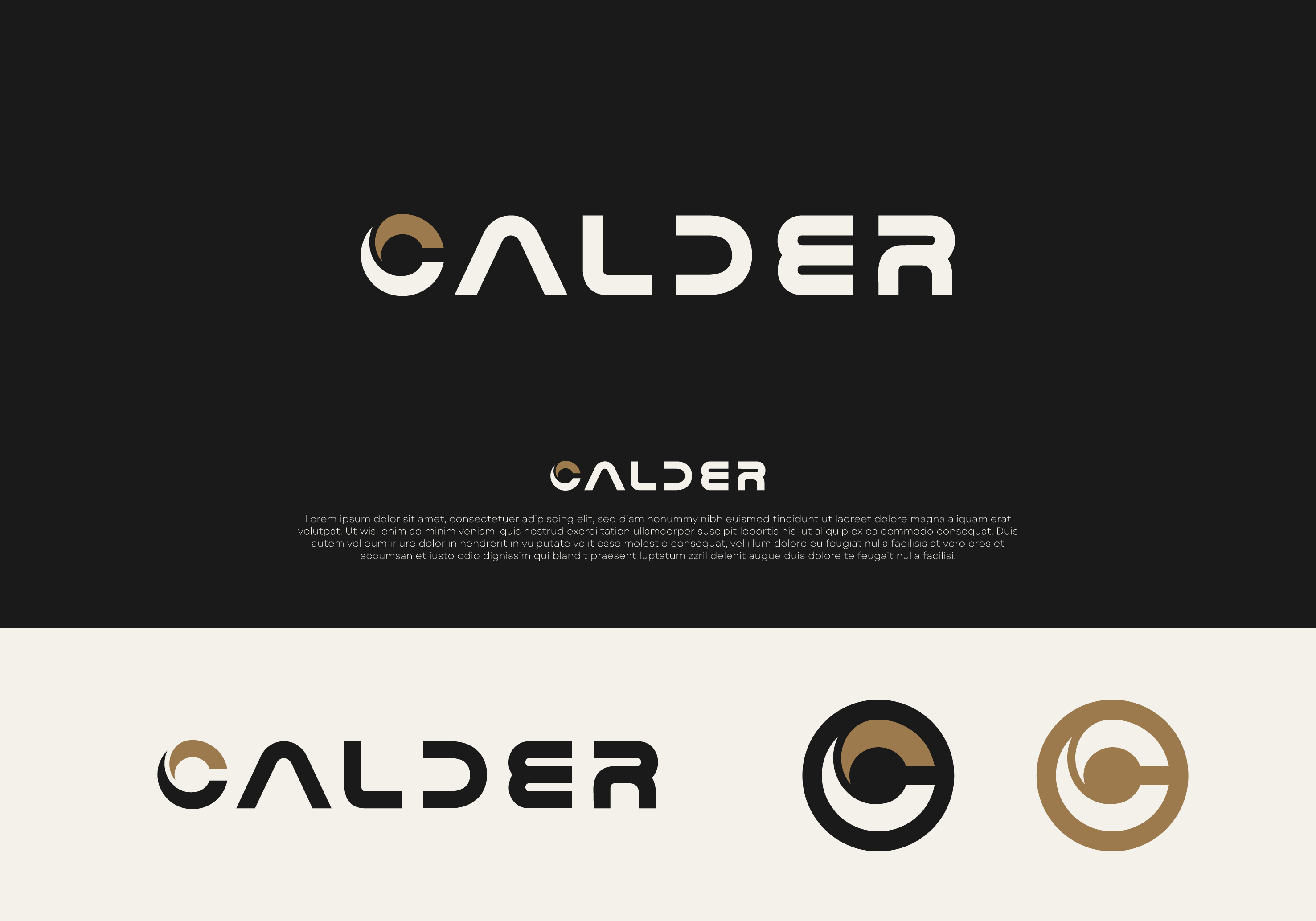 Logo Design by DesignUniq for SPEED AND STYLE | Design #37411351